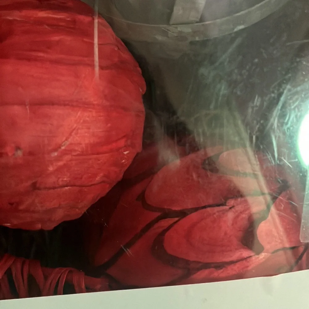 Williams Sonoma Decorative Vase Fillers in Box